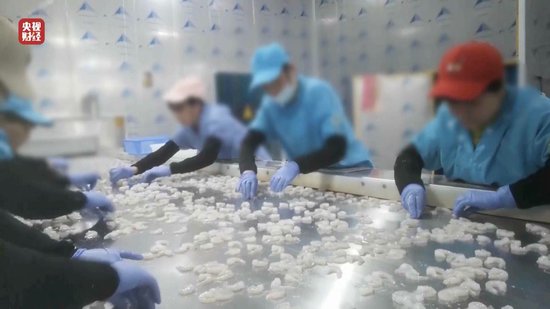 3·15晚会丨“保水虾仁”，浮出水面！1斤虾仁7两冰……  第8张