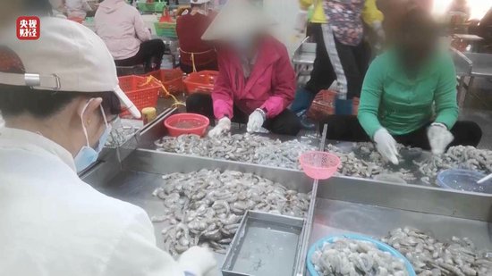 3·15晚会丨“保水虾仁”，浮出水面！1斤虾仁7两冰……  第11张