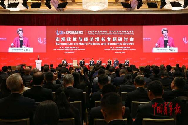 中外嘉宾共话宏观政策与经济增长  第2张