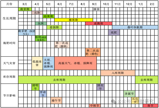 【中财研究】2025年新季苹果坐果调研纪实（西部部分产区篇）  第5张
