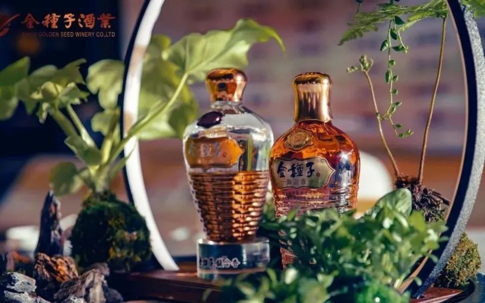 集中度加剧中小酒企抱团取暖的简单介绍  第2张