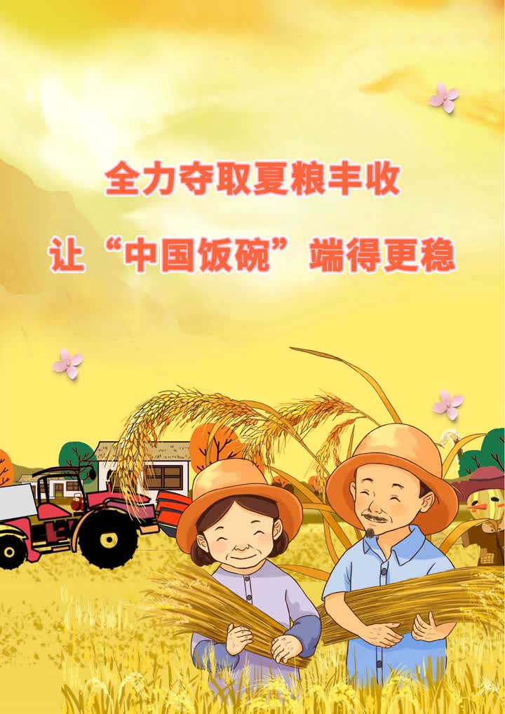 把中国饭碗端得更稳更牢(把中国饭碗端得更稳更牢重)  第1张