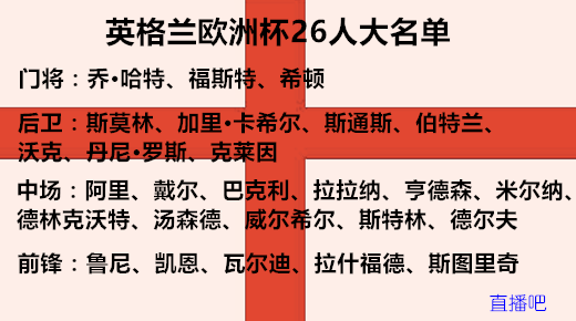 英格兰欧洲杯名单(英格兰欧洲杯名单排名)  第2张