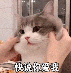 中超转会动态最新消息(中超转会动态最新消息直播)  第1张