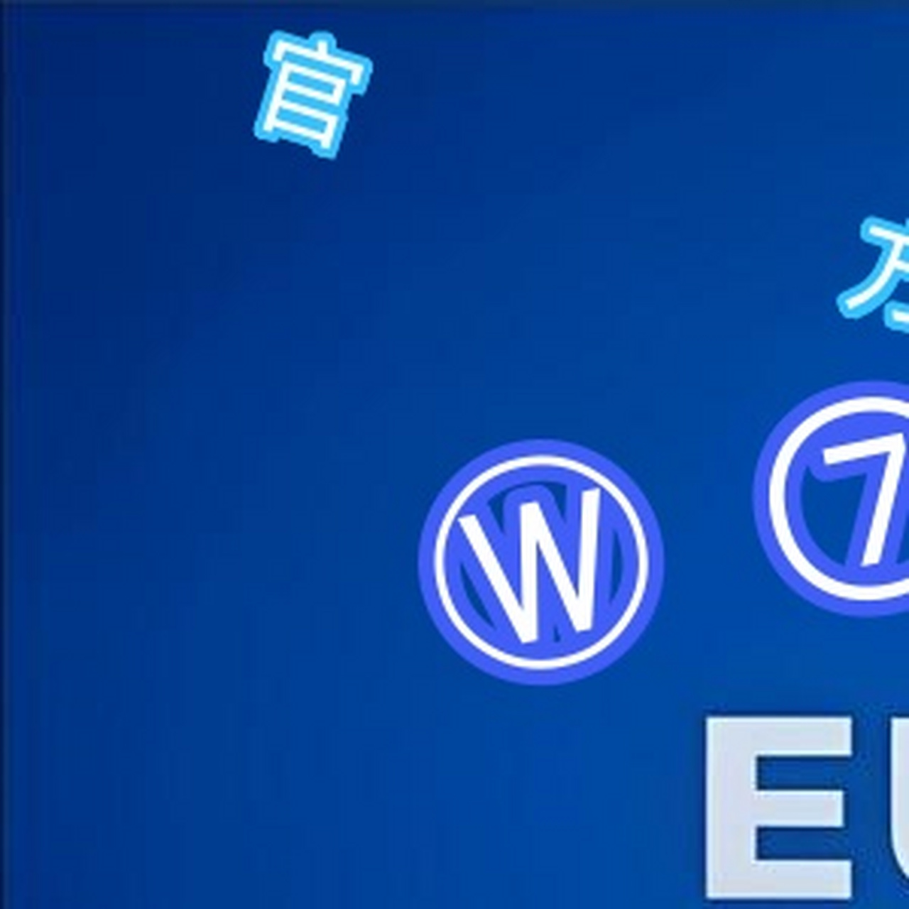 2016欧洲杯买球哪里(2016欧洲杯足球多少钱)  第2张