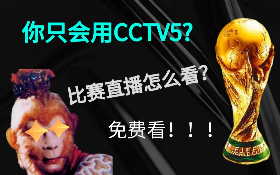 世界足球直播去哪里看(观看世界足球赛的app)  第2张