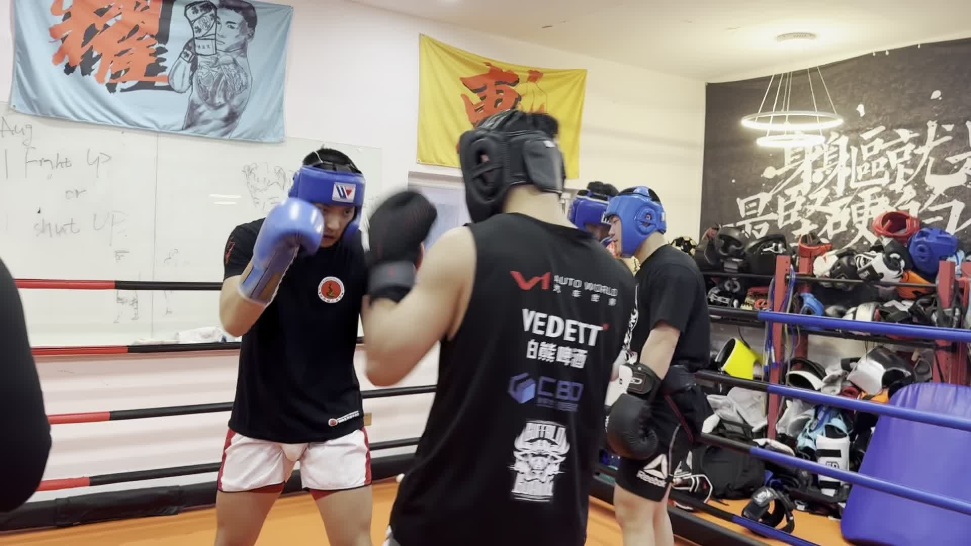 ufc比赛免费直播在线观看(ufc比赛免费直播在线观看张伟丽)  第1张