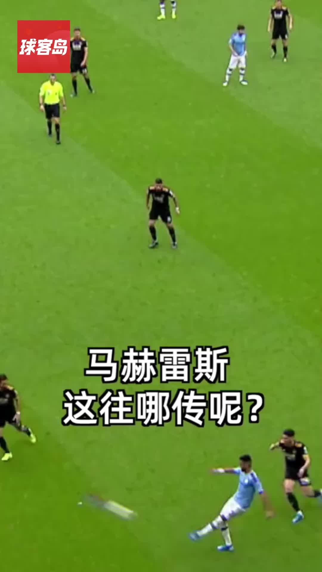 欧洲杯预言(欧洲杯预言粉丝谁最多)  第2张