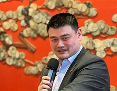 姚明资产一共多少亿(姚明属于什么级别干部)  第2张