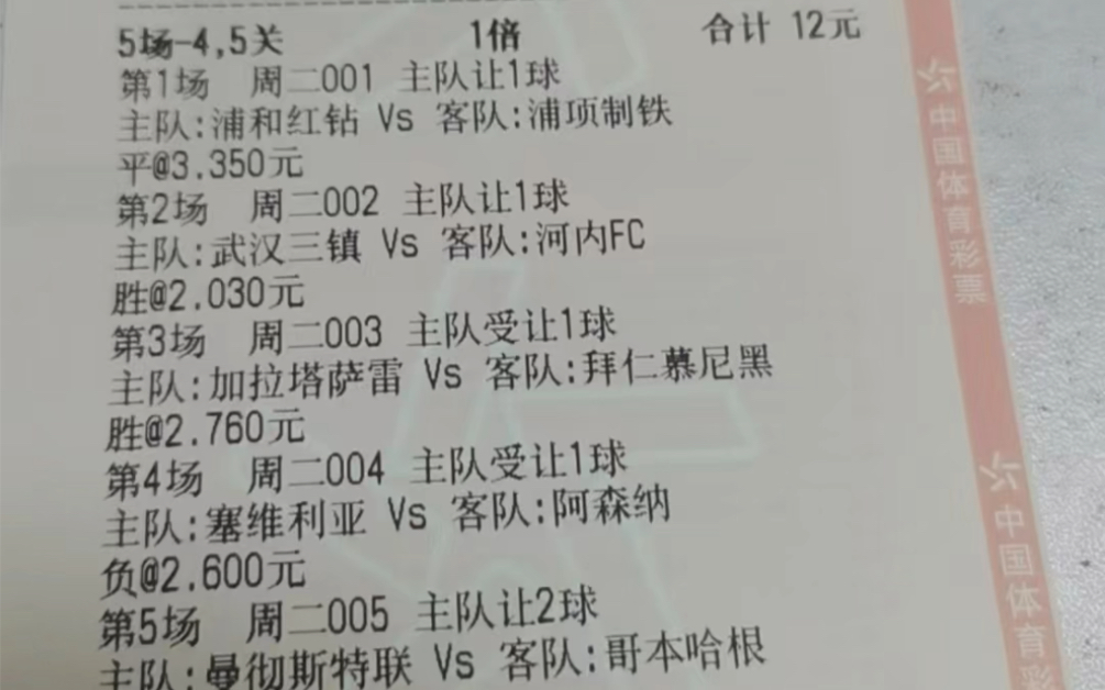 中国足球竞猜官网(中国足球彩票官方竞猜平台)  第1张