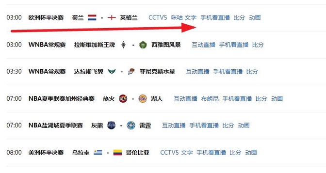 欧洲杯怎么看直播(欧洲杯怎么看直播回放)  第2张