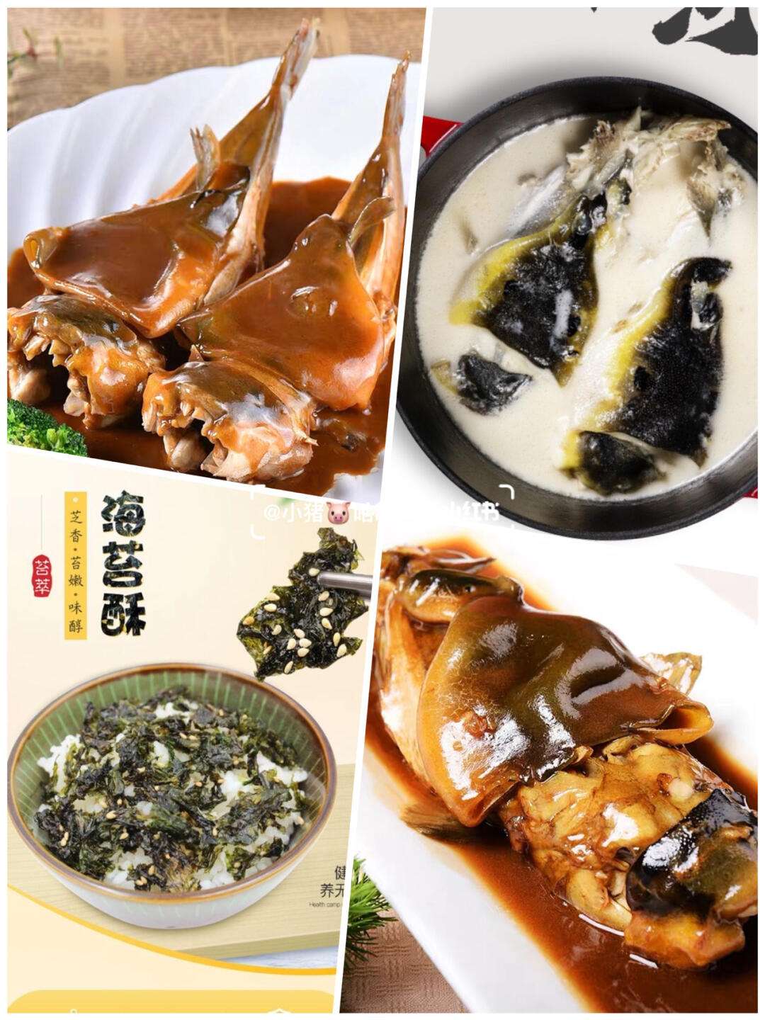 河豚直播app下载(河豚直播体育app下载官方最新版)  第1张