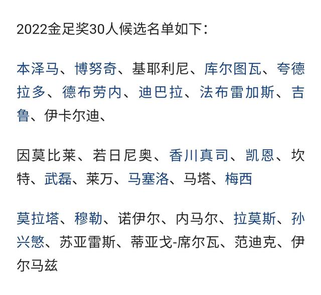 2022世界杯入围名单(2022年世界杯入围国家)  第2张