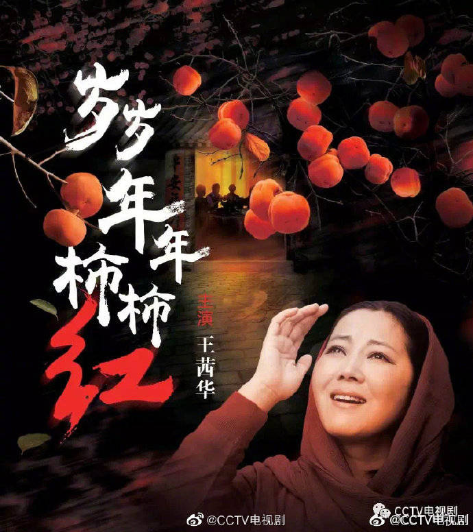 中央八套节目回看播放(中央八套节目回看播放 直播回放)  第2张