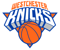 雨燕直播体育nba(雨燕直播体育免费直播在线观看奥运会)  第2张