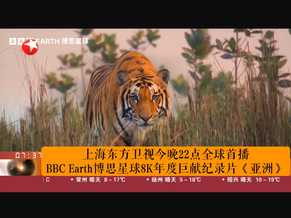 上海东方卫视在线节目观看(上海东方卫视台电视剧节目表)  第2张