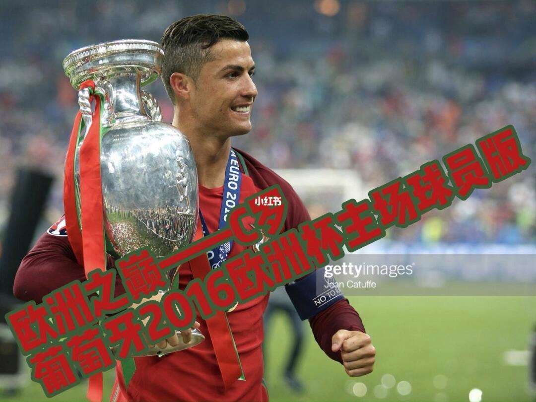 2016欧洲杯欧赔(2016欧洲杯所有比分)  第2张