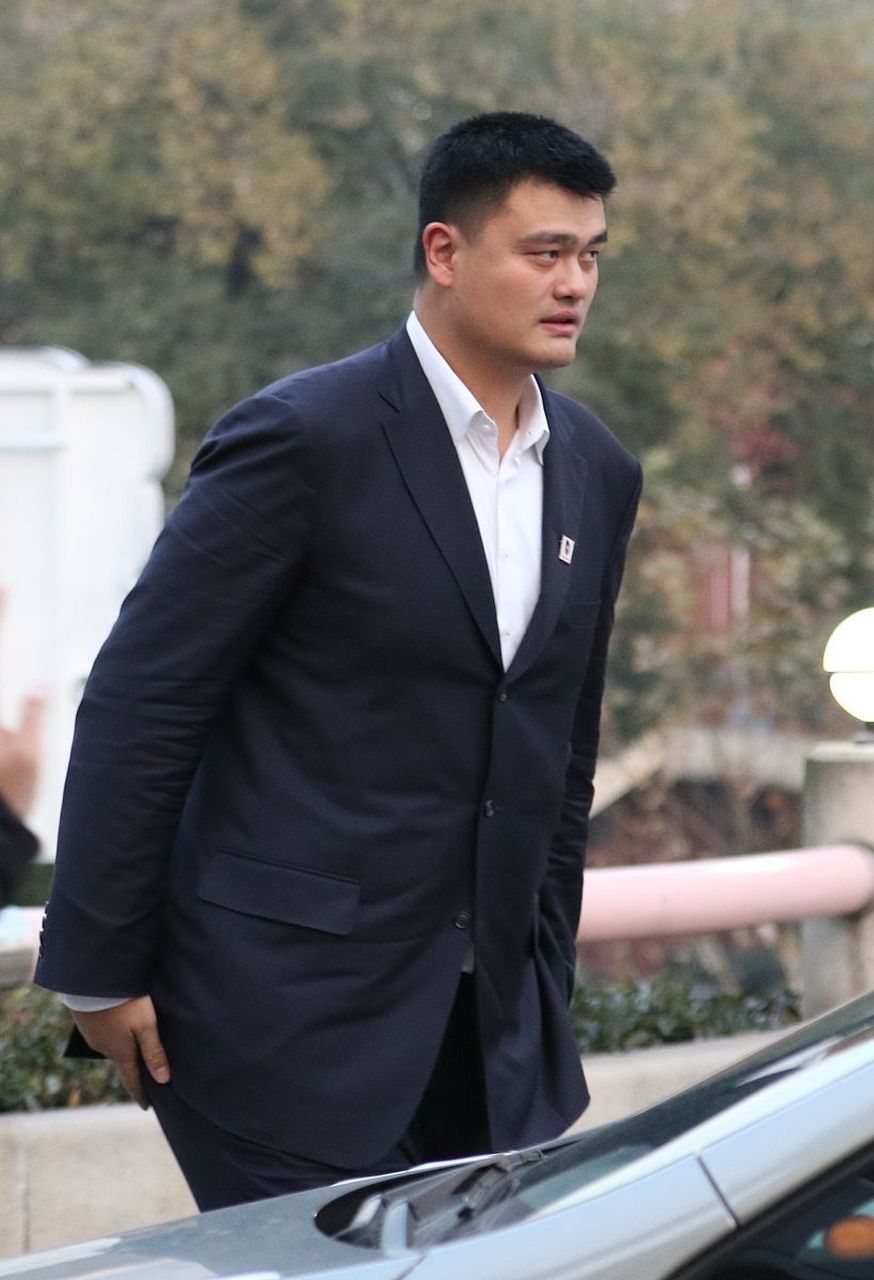 姚明在nba算什么水平(姚明在nba算什么水平的人)  第2张